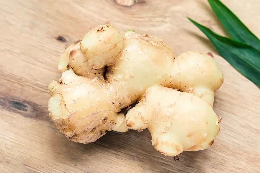 Is Organic Ginger Powder Good For You?